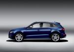 Audi SQ5 TDI 2013 года (WW)